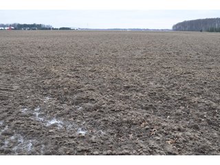 Property photo 58 - 175 Acres Offered in 5 Tracts - Tontogany, Ohio Farm Land Auction